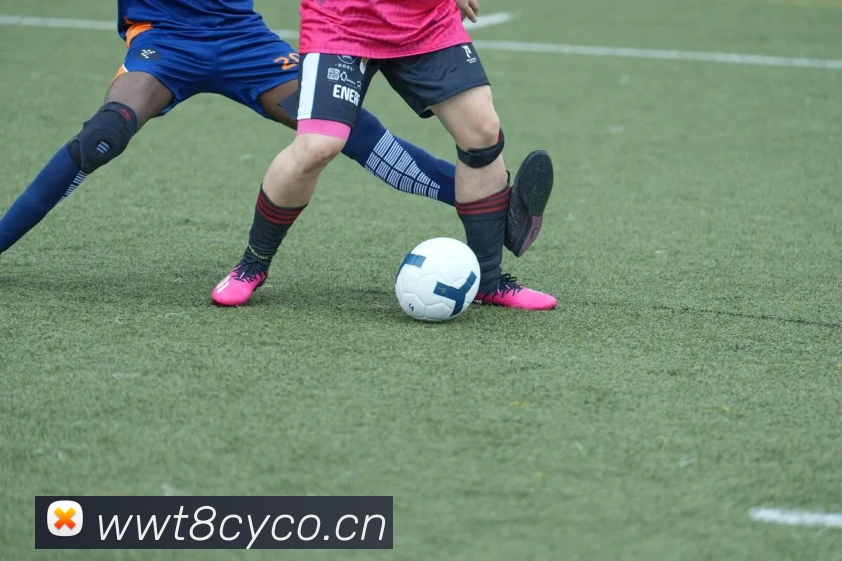 九游j9官网快速入口品牌故事