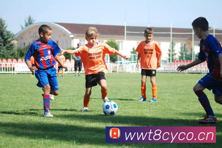 九游j9官网快速入口服务体系